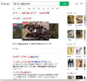 非洲动物迁徙通道遭游客阻塞_360搜索