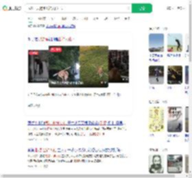 武汉一只狗练出神入化棍法_360搜索