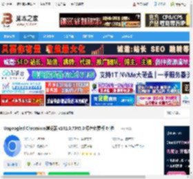 Ungoogled下载 Ungoogled Chromium浏览器 v141.0.7345.0 绿色免费版 64位 下载-脚本之家