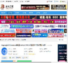 Ungoogled下载 Ungoogled Chromium浏览器 v141.0.7345.0 开源绿色中文免费版 32位 下载-脚本之家