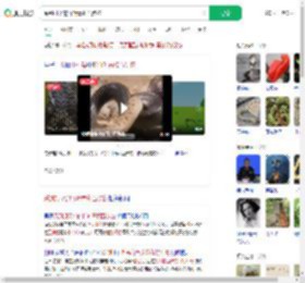 踩到打架的竹叶青和五步蛇_360搜索