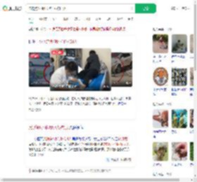 流浪狗1小时咬伤4人被打死_360搜索