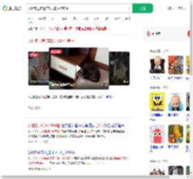 女租客退房遗弃8只猫拉黑房主_360搜索