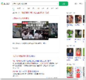 印度猴子抢钱后爬树撒钱_360搜索