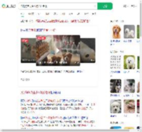 流浪狗乞食生小狗托付老板_360搜索