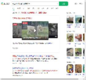 秦皇岛动物园遇猛虎惊魂实录_360搜索