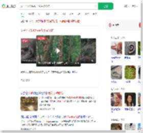女子不听劝喂猴子花生被咬伤_360搜索