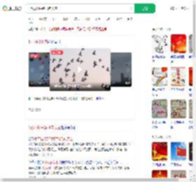 8万羽和平鸽飞向天空_360搜索