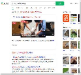 穿山甲误入闹市店主报警_360搜索