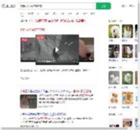 狗狗雨天叼雨布盖芝麻_360搜索
