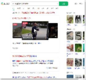 扬子鳄追击黑鱼被意外钓起_360搜索
