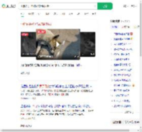 小狗被男子射伤忍痛用嘴拔针_360搜索