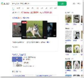 哈士奇咬死柯尔鸭犬主赔千元_360搜索