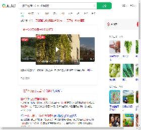 一住户5楼空心菜垂1楼像瀑布_360搜索