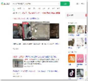 网友发自家小猫卡门上成挂件_360搜索