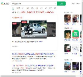 网红狗开车上路_360搜索