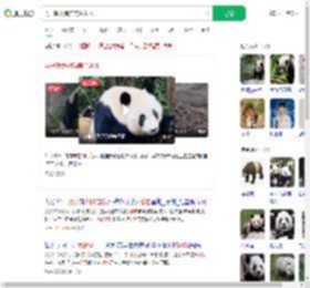 男子朝大熊猫美兰泼水_360搜索