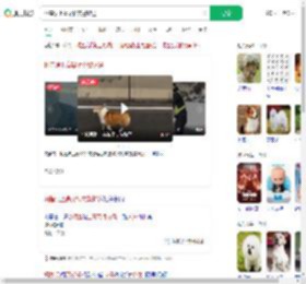 柯基误上高架桥交警护送_360搜索