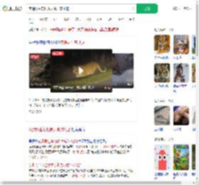 夜遇野生东北虎大喊：本地的_360搜索