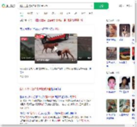 爬行男童将落户北京接受调查_360搜索