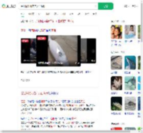 湛江海滩现难产死亡海豚_360搜索