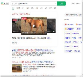 男子买马一觉醒来1匹变2匹_360搜索