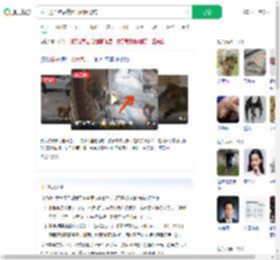 猴子抢面包后携猴群组团抢店_360搜索