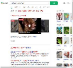 巴西蝙蝠体内发现冠状病毒_360搜索