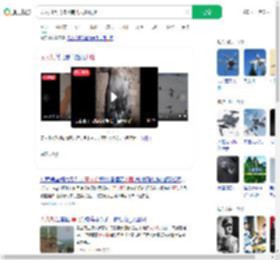 无人机黑飞撞落南飞大雁致死_360搜索