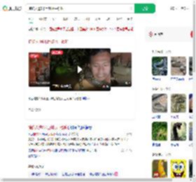 捕蛇人遭6米巨蟒水中锁喉_360搜索