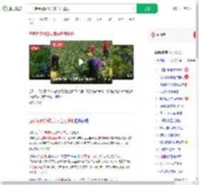 白菜免费视频致菜农白菜遭抢_360搜索